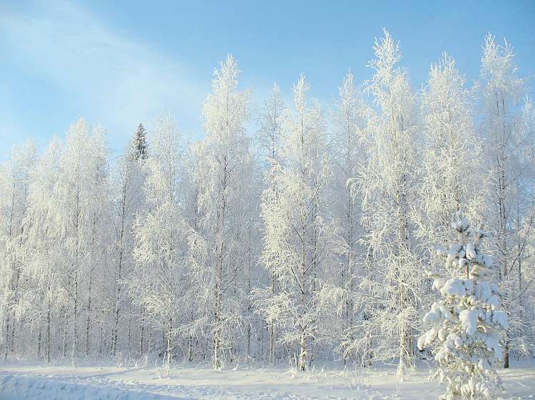 Lapponia solo donne. A Caccia dell'aurora boreale e popolo Sami